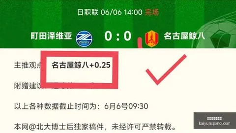 2026赛季战绩解析开云体育：13场胜利，状态飙升，总分与胜负关键
