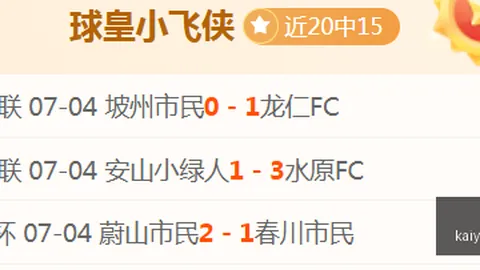 开云体育官方网站 131903 5